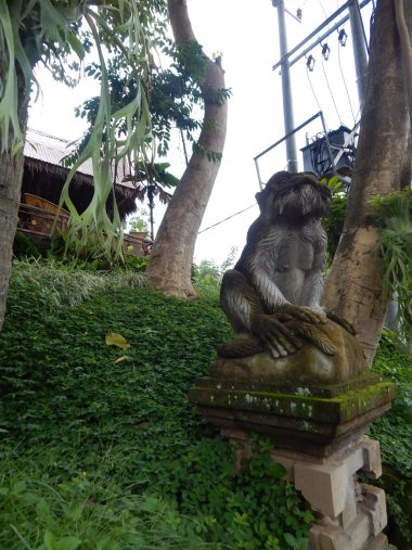 Guide to Bali for South Africans - Sightseeing Scientist