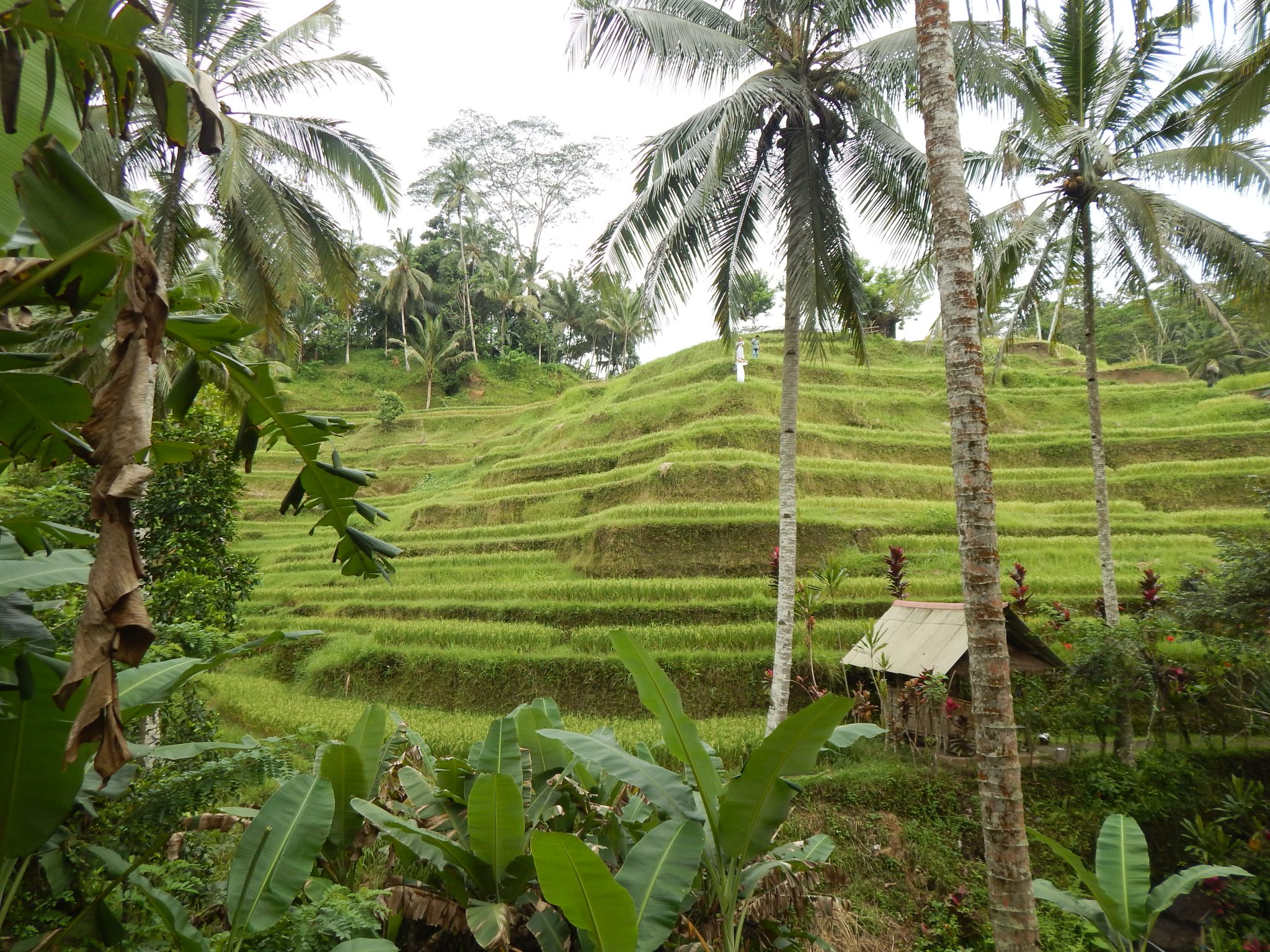 south african travel to bali