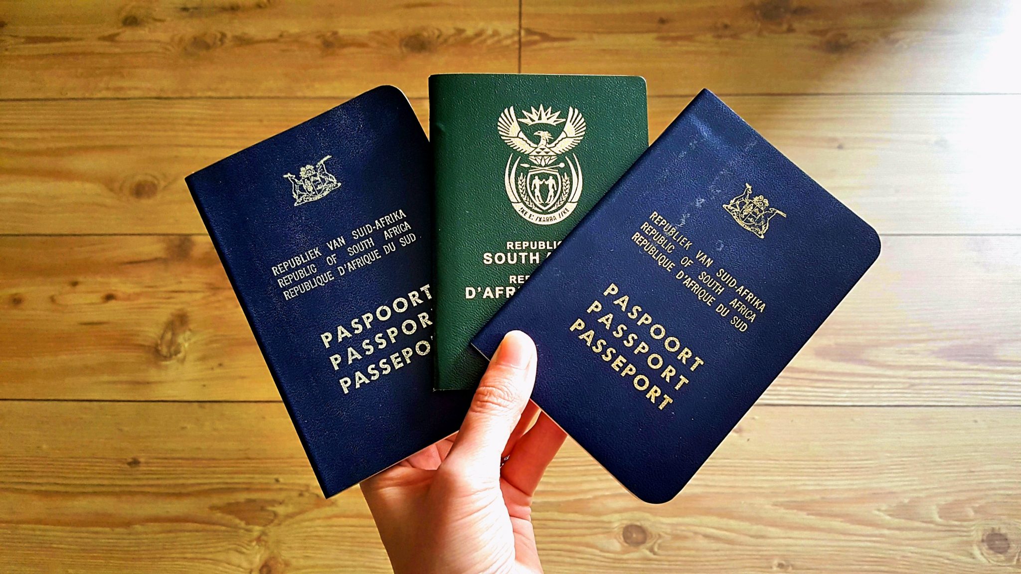 travel history with passport number
