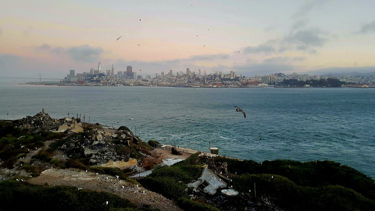 alcatraz early bird tour tickets