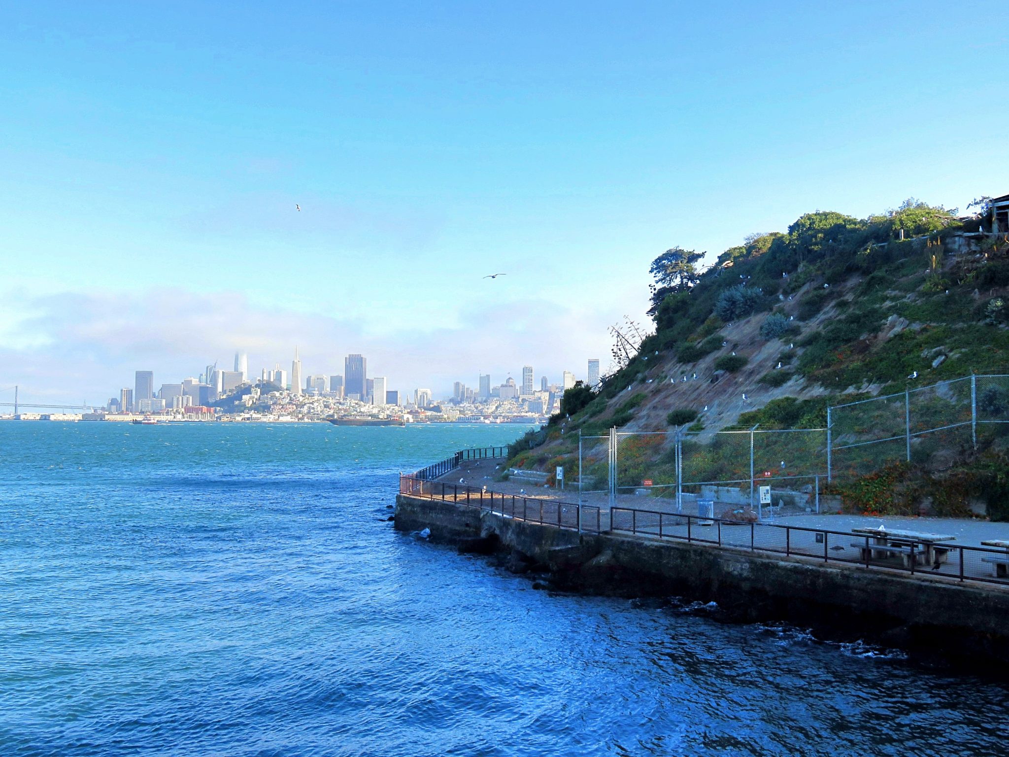 Everything you need to know about visiting Alcatraz - Sightseeing Scientist