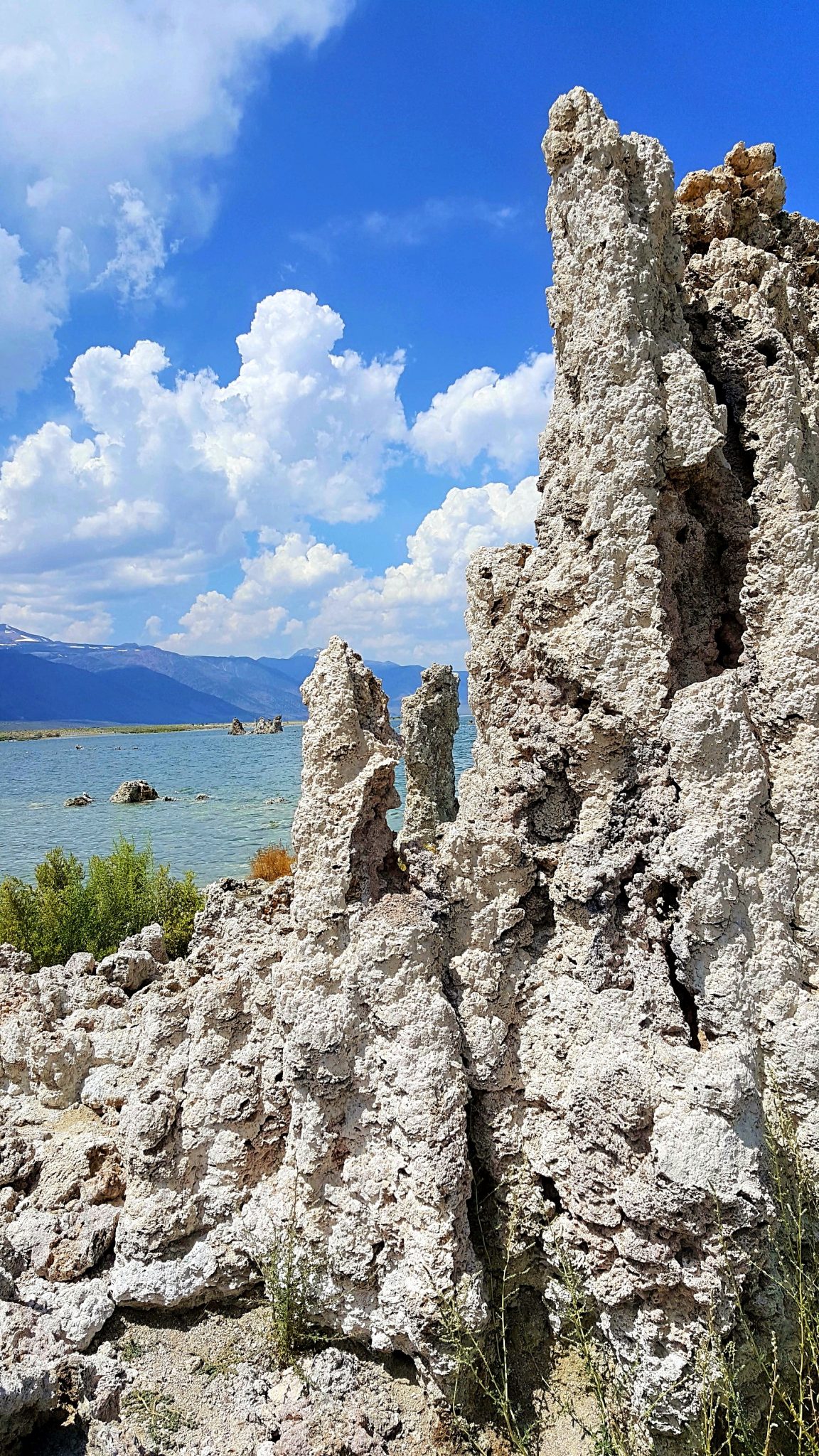 Swimming In Mono Lake California Sightseeing Scientist