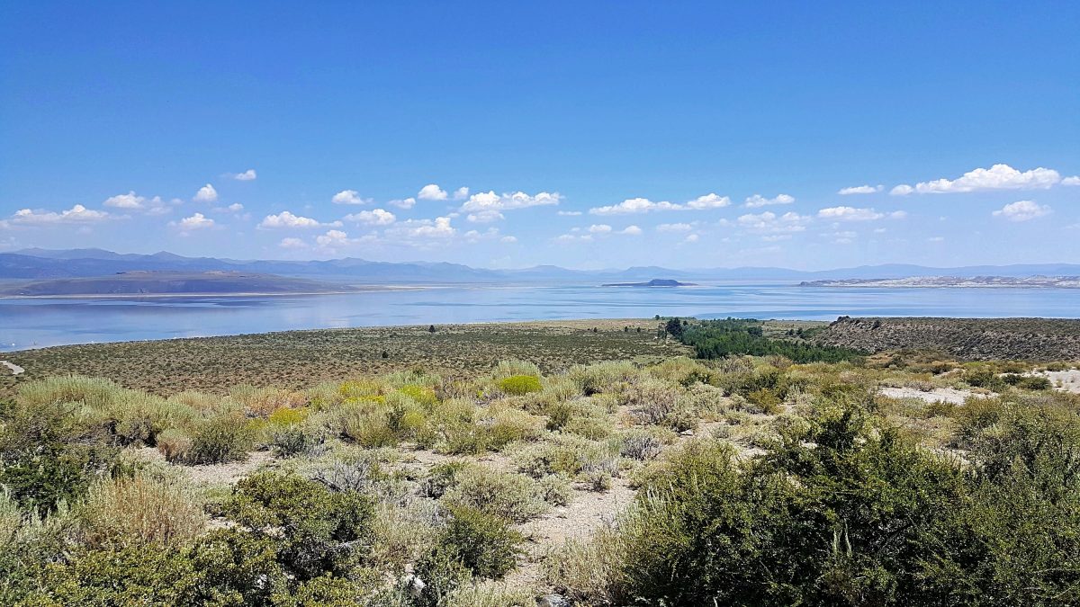 Swimming in Mono Lake, California Sightseeing Scientist