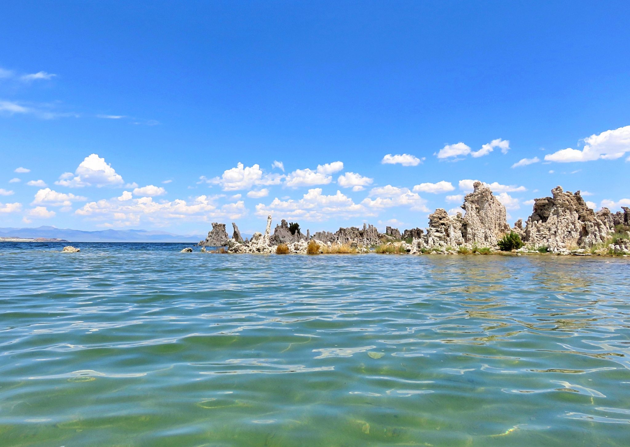 Swimming in Mono Lake, California Sightseeing Scientist