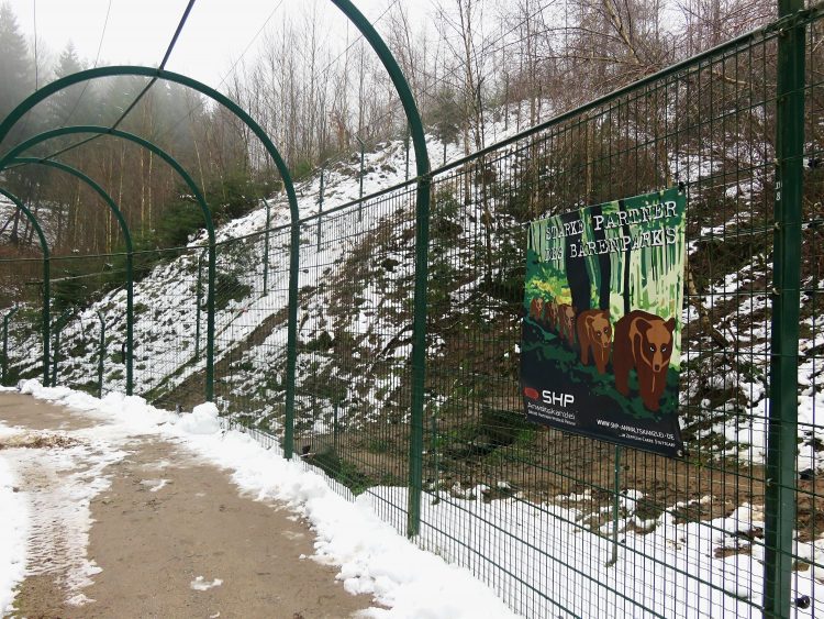 Visiting the Alternative Wolf and Bear Park in the Black Forest Sightseeing Scientist Visiting the Alternative Wolf and Bear Park in the Black Forest Sightseeing Scientist
