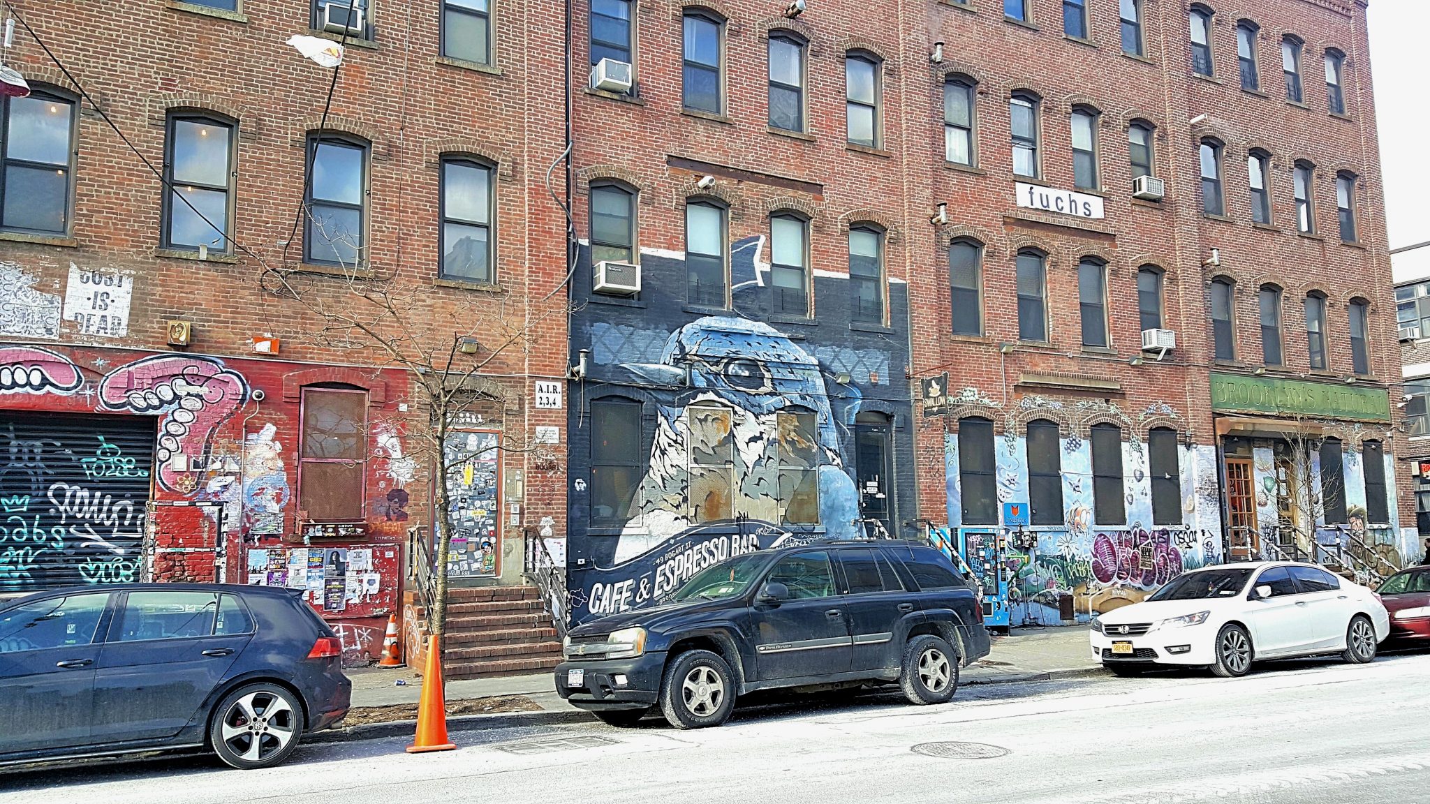 A quick guide to Bushwick, Brooklyn Sightseeing Scientist