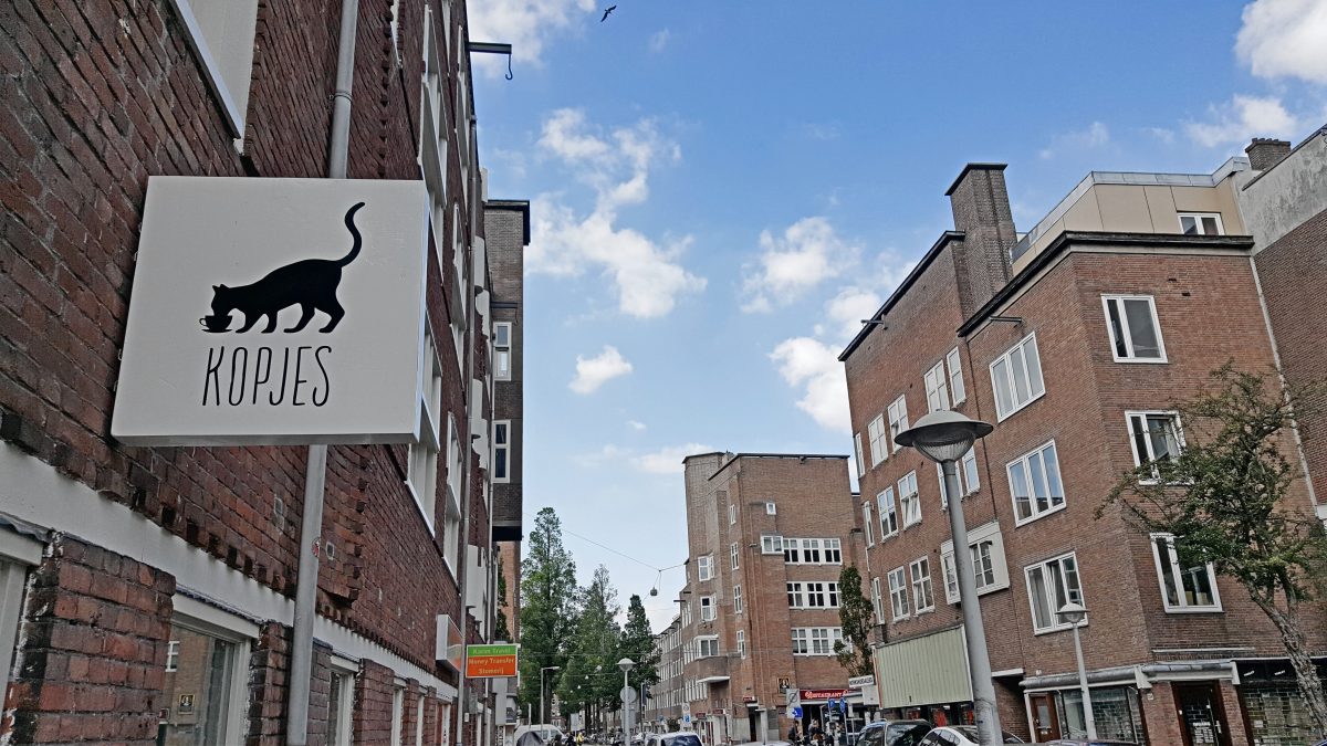 januari Verpersoonlijking Verdraaiing Chilling at Kopjes cat café in Amsterdam - Sightseeing Scientist
