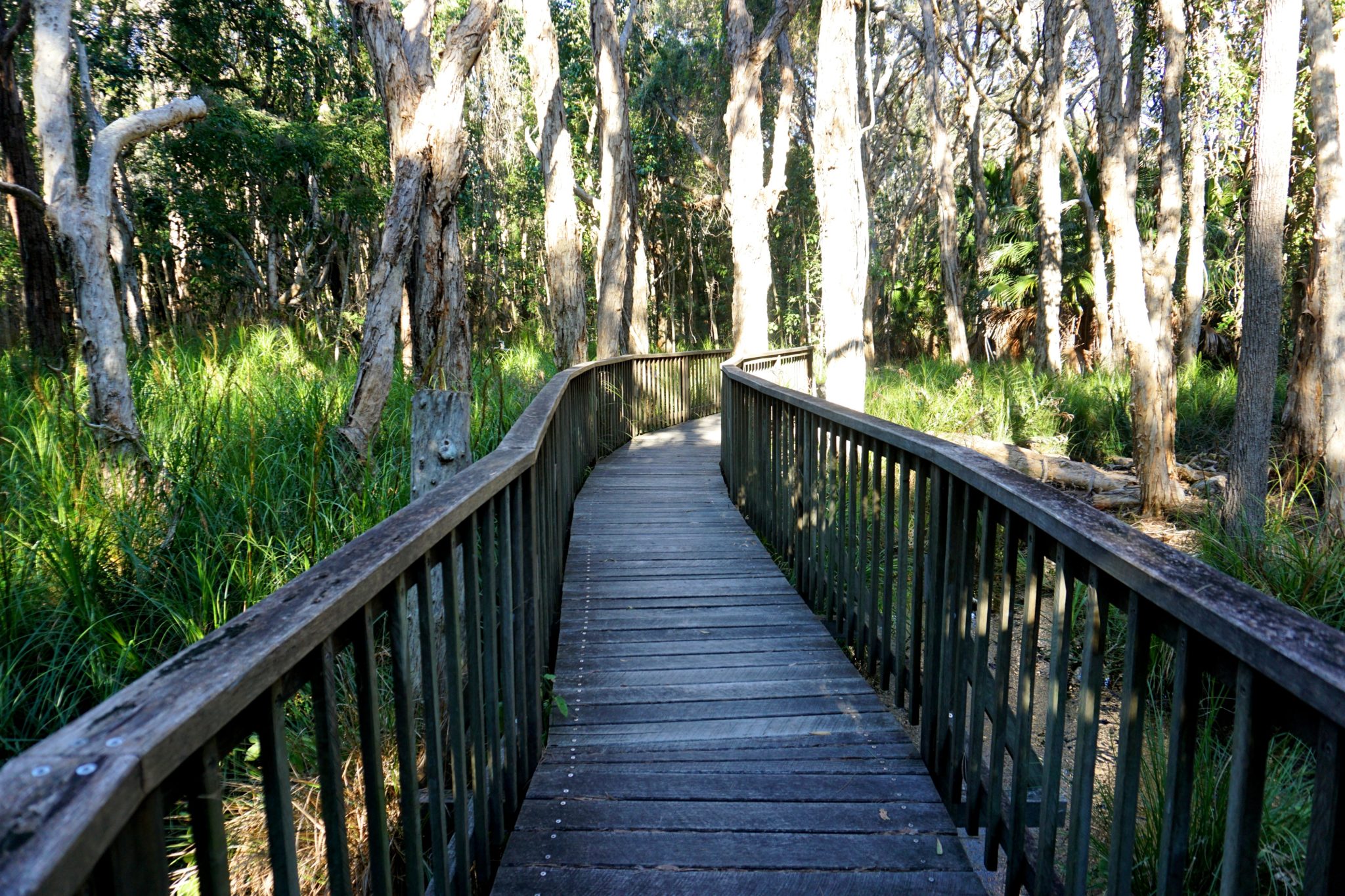 visit south stradbroke island